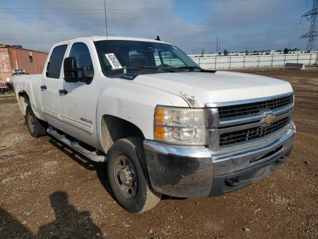 2010 CHEVROLET SILVERADO - 1GC4CXBG5AF128809