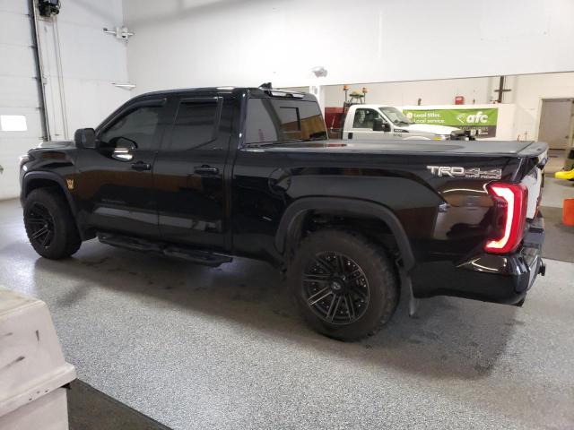 2023 TOYOTA TUNDRA DOU 5TFLA5DA4PX117463