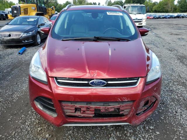 2014 FORD ESCAPE TIT - 1FMCU9J90EUE41559