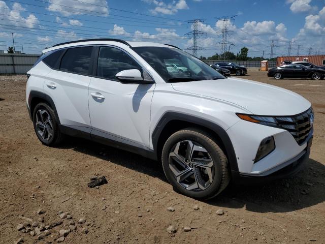 2023 HYUNDAI TUCSON SEL 5NMJFCAE3PH246548