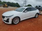 Top Destinations for Shipping Cars from the USA