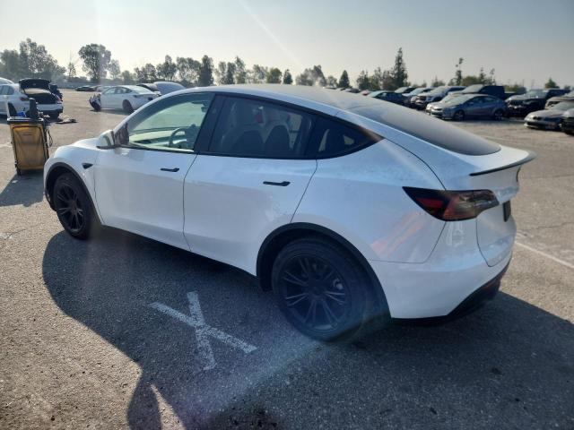 2024 TESLA MODEL Y 7SAYGDED6RF167241