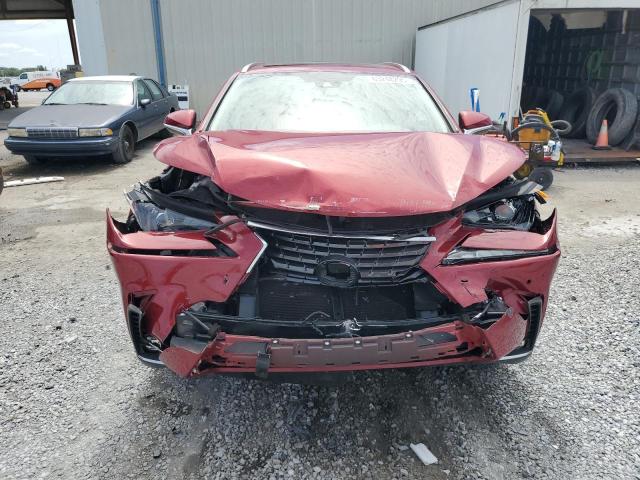 2021 LEXUS NX 300H BA JTJDJRDZ6M2167885