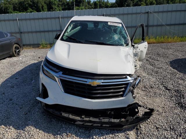 2023 CHEVROLET EQUINOX LS 3GNAXHEG3PL251362