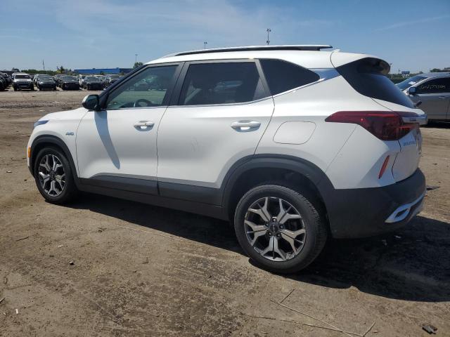 2022 KIA SELTOS EX - KNDERCAA6N7295219