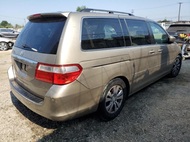 HONDA ODYSSEY TO 2005 gold sports v gas 5FNRL38845B011571 photo #4
