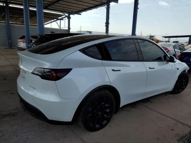 2021 TESLA MODEL Y 5YJYGDEE9MF153395