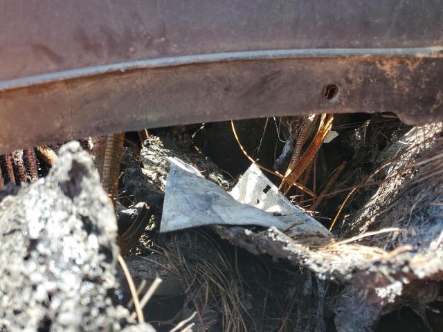 2024 RAM PROMASTER - 3C6LRVDG5RE137339