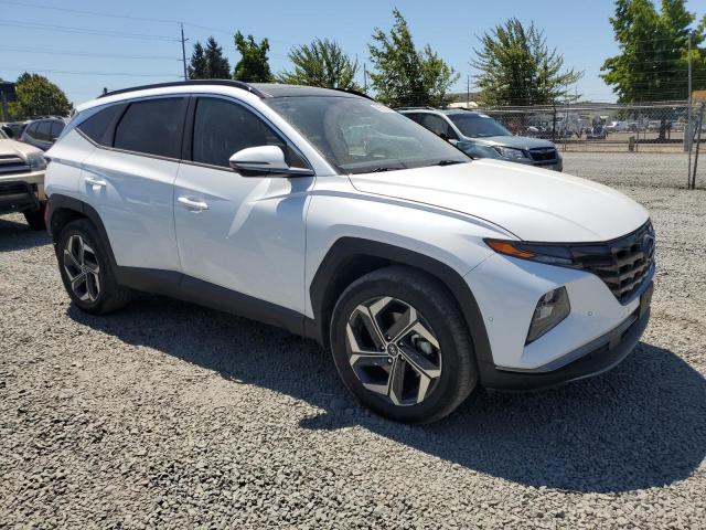 2023 HYUNDAI TUCSON LIM - KM8JECA19PU112521