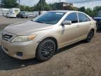Top Destinations for Shipping Cars from the USA