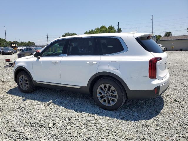 2024 KIA TELLURIDE 5XYP24GC0RG531318