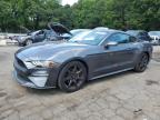 2020 FORD MUSTANG - 1FA6P8TH0L5172421