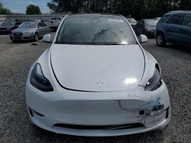 2024 TESLA MODEL Y 7SAYGDEEXRF162231