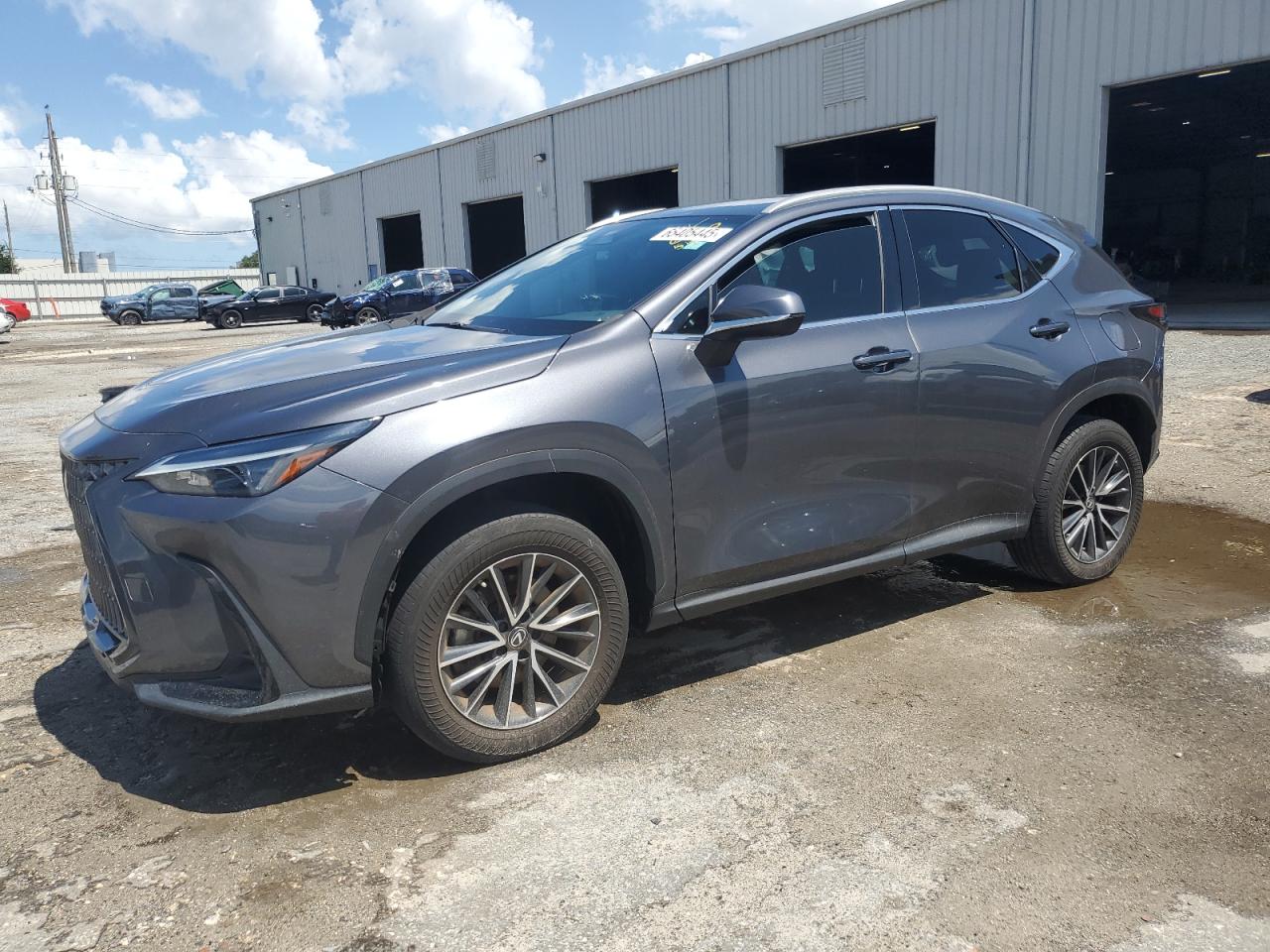 LEXUS NX 250