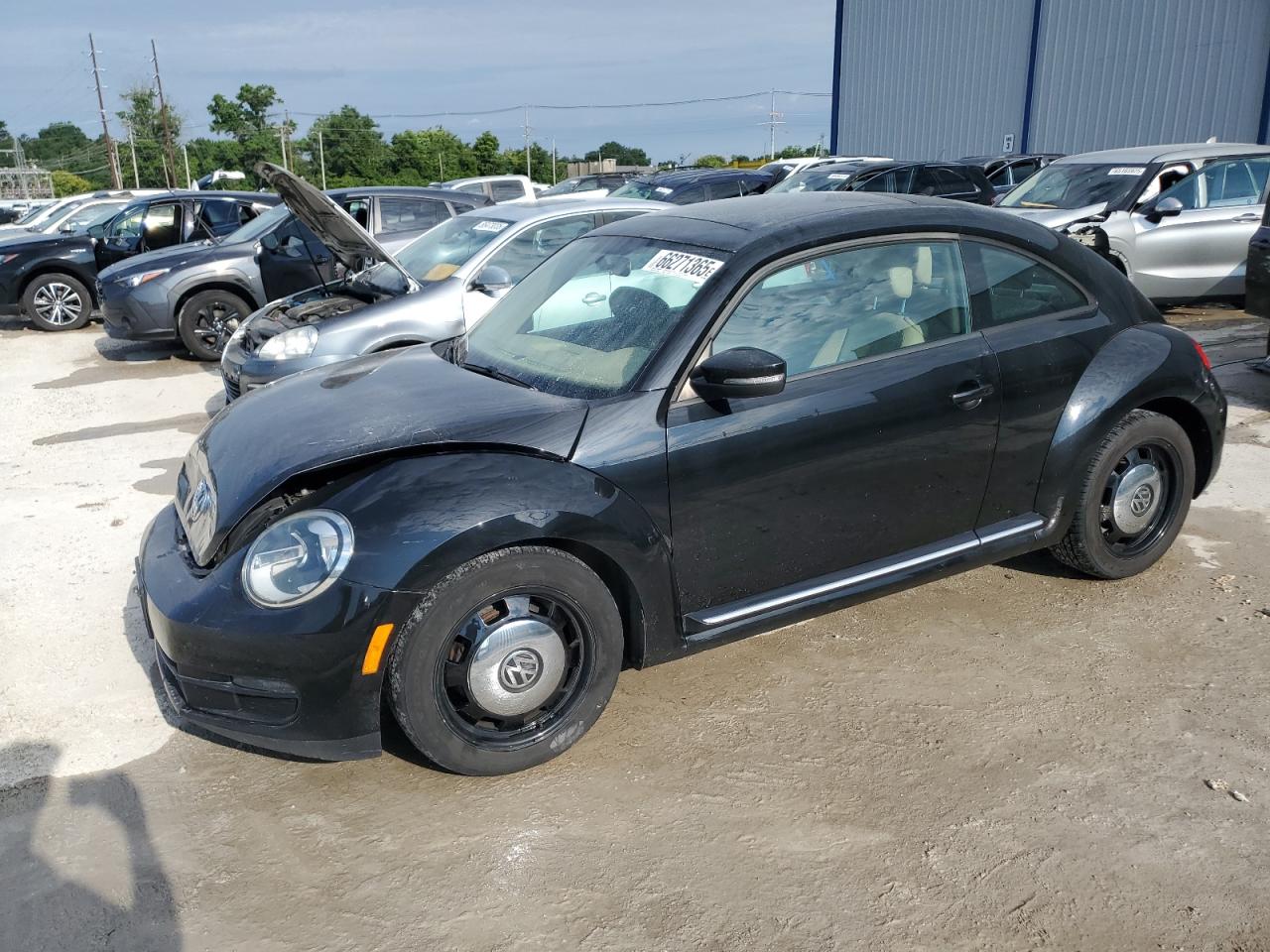 VOLKSWAGEN BEETLE