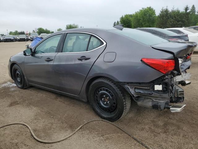 2019 ACURA TLX TECHNO 19UUB1F56KA800904
