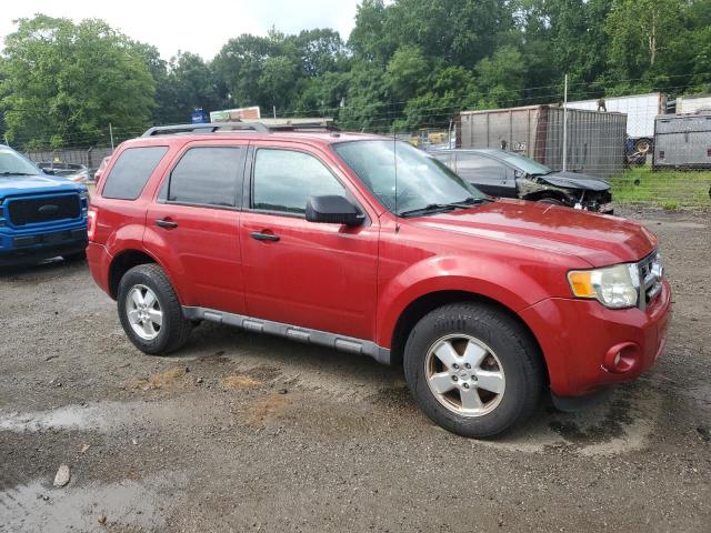 2011 FORD ESCAPE XLT - 1FMCU9D74BKB74248
