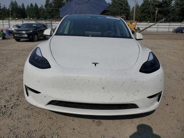 2025 TESLA MODEL Y 7SAYGDEE3SF264038