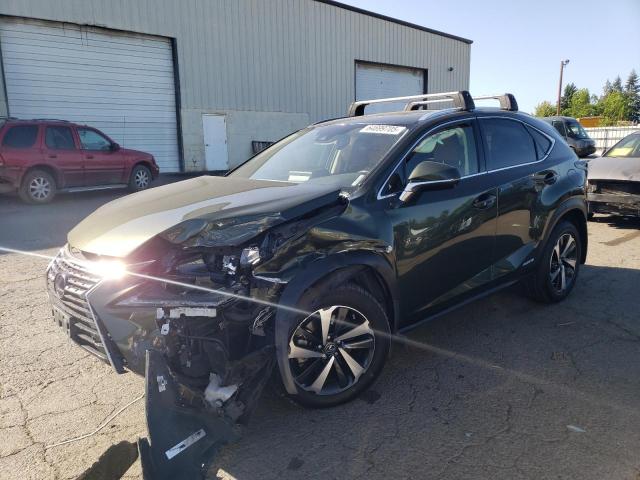2021 LEXUS NX 300H BA JTJGJRDZ3M2161944
