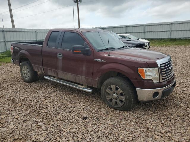 2010 FORD F150 SUPER - 1FTEX1E84AFD12780