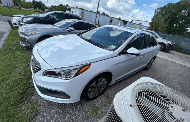 HYUNDAI SONATA SPO 2017 white sedan 4d gas 5NPE34AF9HH452356 photo #3