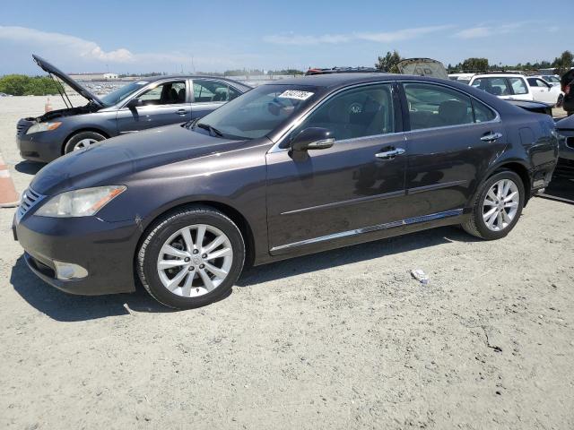 Vin: jthbk1eg3a2413789, lot: 63437785, lexus es350 350 2010 img_1