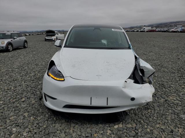 2023 TESLA MODEL Y 7SAYGDEE3PA112345