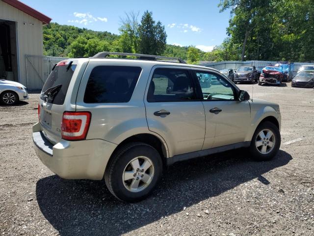 2011 FORD ESCAPE XLT - 1FMCU9DG8BKB99556