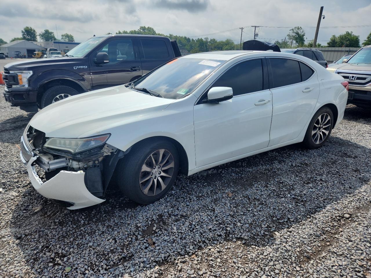 Lot #3268290034 2017 ACURA TLX