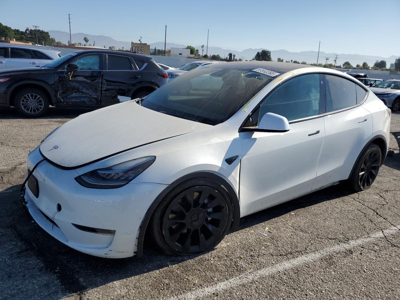TESLA MODEL Y
