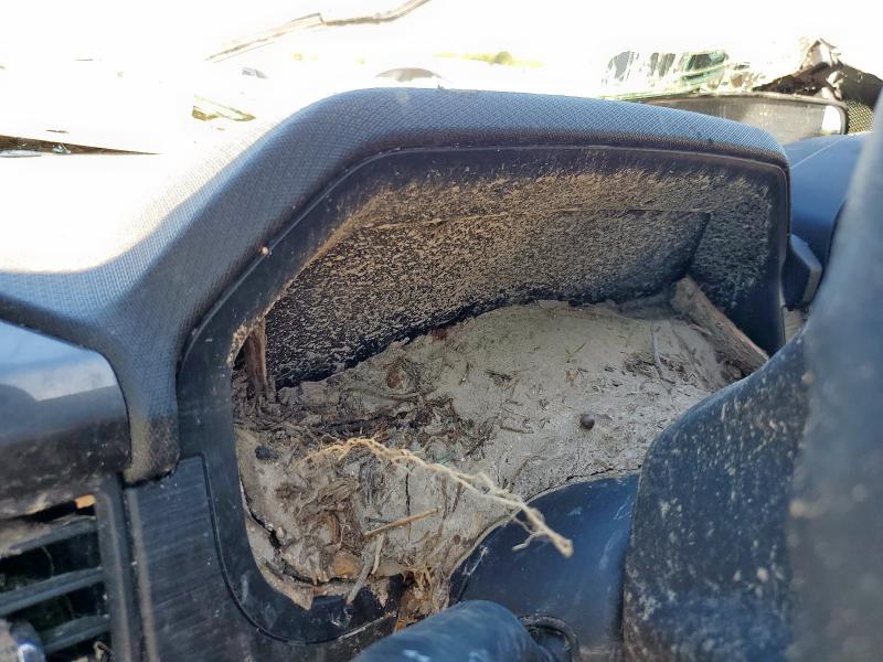 2024 FORD F150 STX 1FTEW2LP9RKE51860