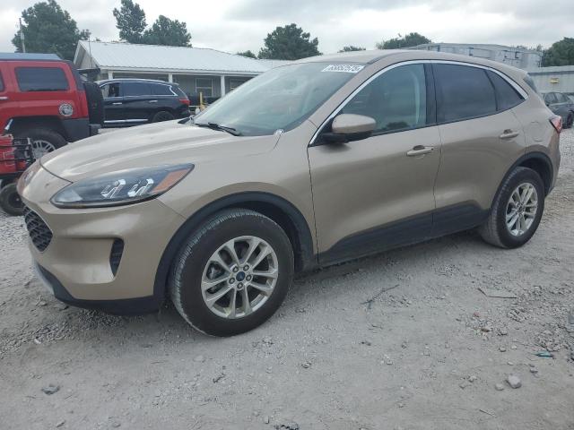 Global Auto Auctions: 2021 FORD ESCAPE SE