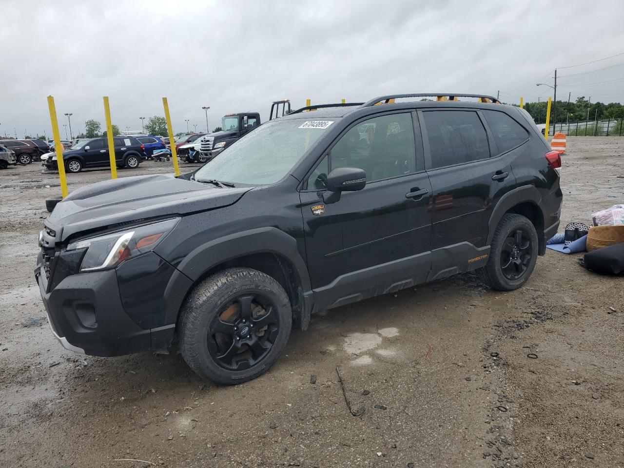 SUBARU FORESTER WILDERNESS