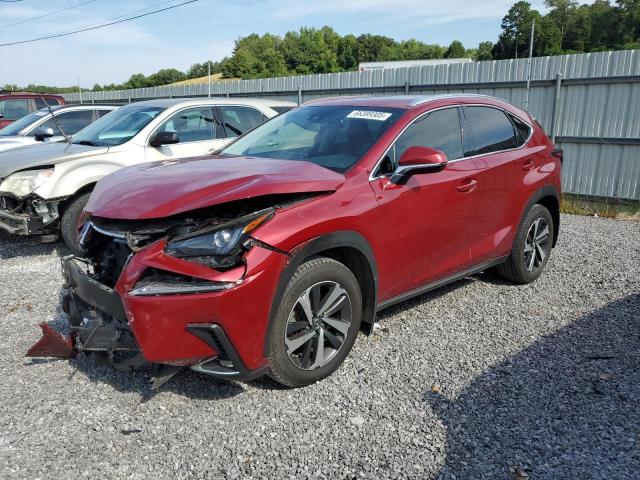 2021 LEXUS NX 300 BAS JTJGARBZ3M5033138
