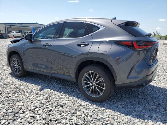 2023 LEXUS NX 250 2T2ADCAZ2PC003176