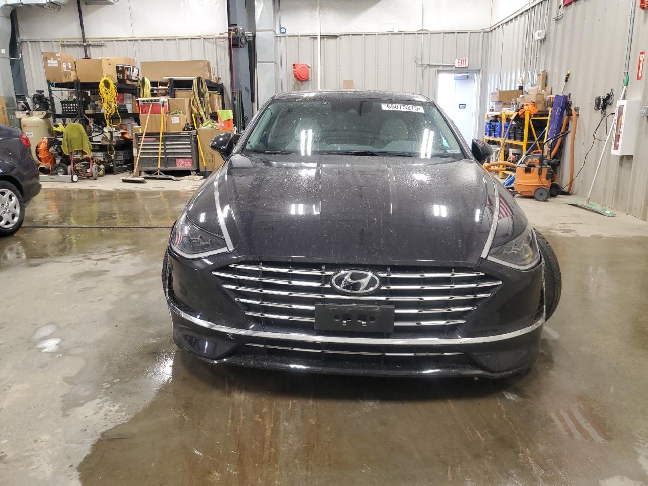 Global Auto Auctions