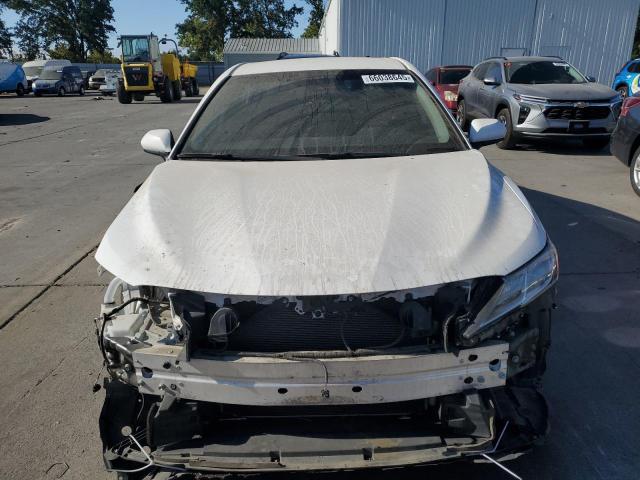 2019 TOYOTA CAMRY L - 4T1B11HK7KU757289