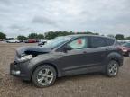 2015 FORD ESCAPE SE - 1FMCU9GX7FUB06287