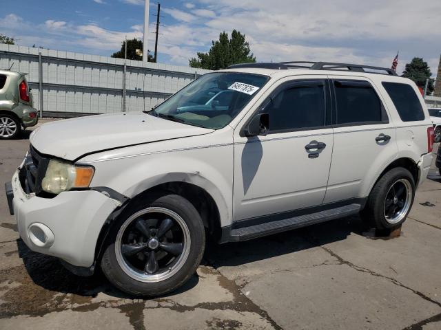 Global Auto Auctions: 2009 FORD ESCAPE XLT