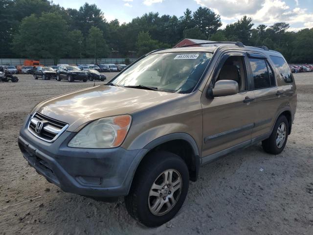 HONDA CR-V EX 2004 beige  gas JHLRD78844C030432 photo #1