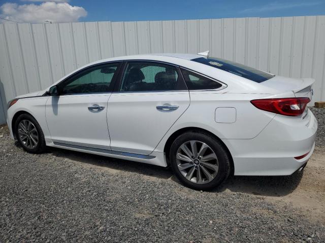2016 HYUNDAI SONATA SPO 5NPE34AF3GH285975