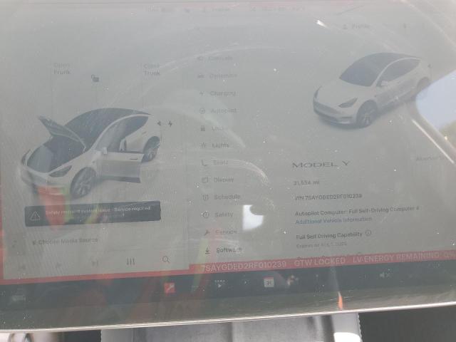 2024 TESLA MODEL Y 7SAYGDED2RF010239