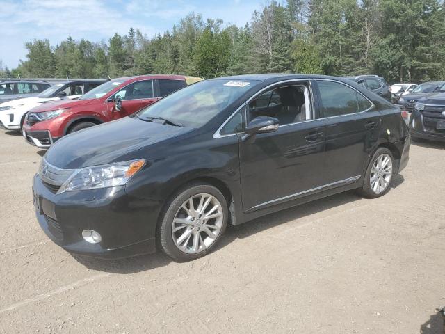 LEXUS HS 250H
