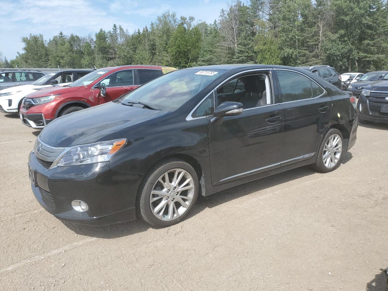 LEXUS HS 250H