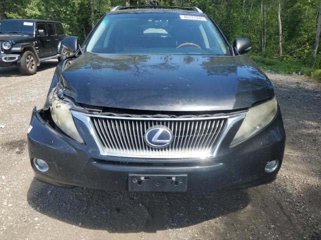 2011 LEXUS RX 450H - JTJBC1BA7B2418507