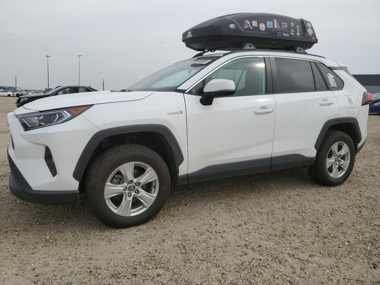 TOYOTA RAV4 XLE