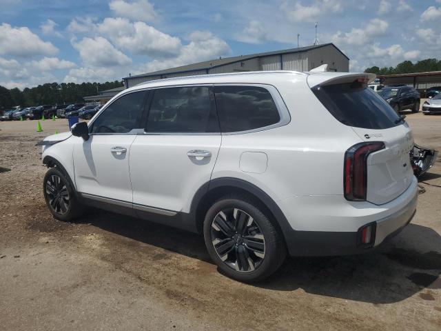 2024 KIA TELLURIDE - 5XYP54GC4RG474306