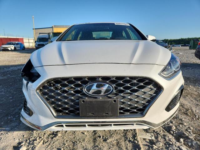 2019 HYUNDAI SONATA LIM 5NPE34AF0KH795211