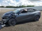 2025 TESLA MODEL Y - 7SAYGDEFXSA362196