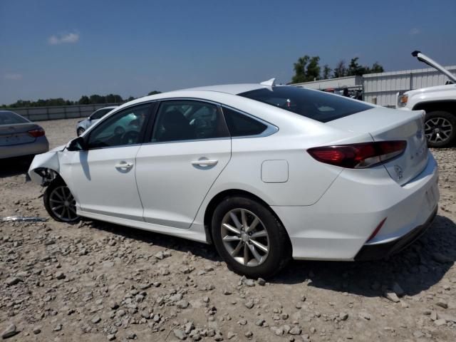 2019 HYUNDAI SONATA SE - 5NPE24AF3KH741064